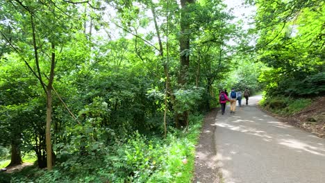 personas caminando por un sendero forestal
