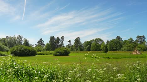 Zeitraffer-Einer-Wunderschönen-Grünen-Wiese,-Gesehen-Durch-Blumen-Unter-Einem-Blauen-Himmel