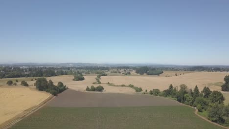 campo de cáñamo industrial cultivado en filas con múltiples cultivares y cepas vista aérea drone 4k filmado en agosto de 2019 en oregon-3