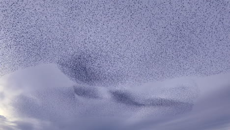 Ein-Schwarm-Tausender-Stare,-Die-Wunderschöne-Muster-In-Den-Himmel-Zeichnen