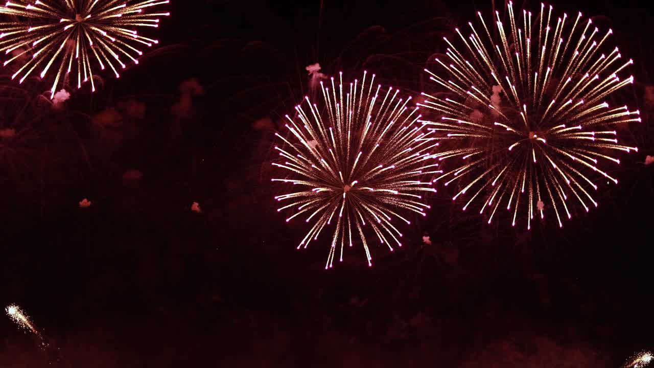Colorful fireworks exploding in the night sky. Celebrations and events in bright colors.