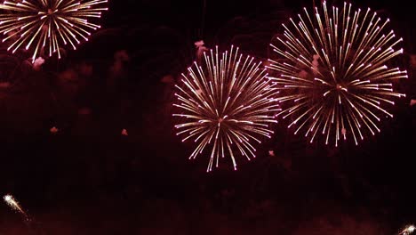 coloridos fuegos artificiales explotando en el cielo nocturno. celebraciones y eventos en colores brillantes.