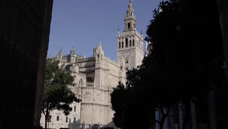 woman sightseeing and exploring the city of seville, spain. visiting the cathedral and the giralda