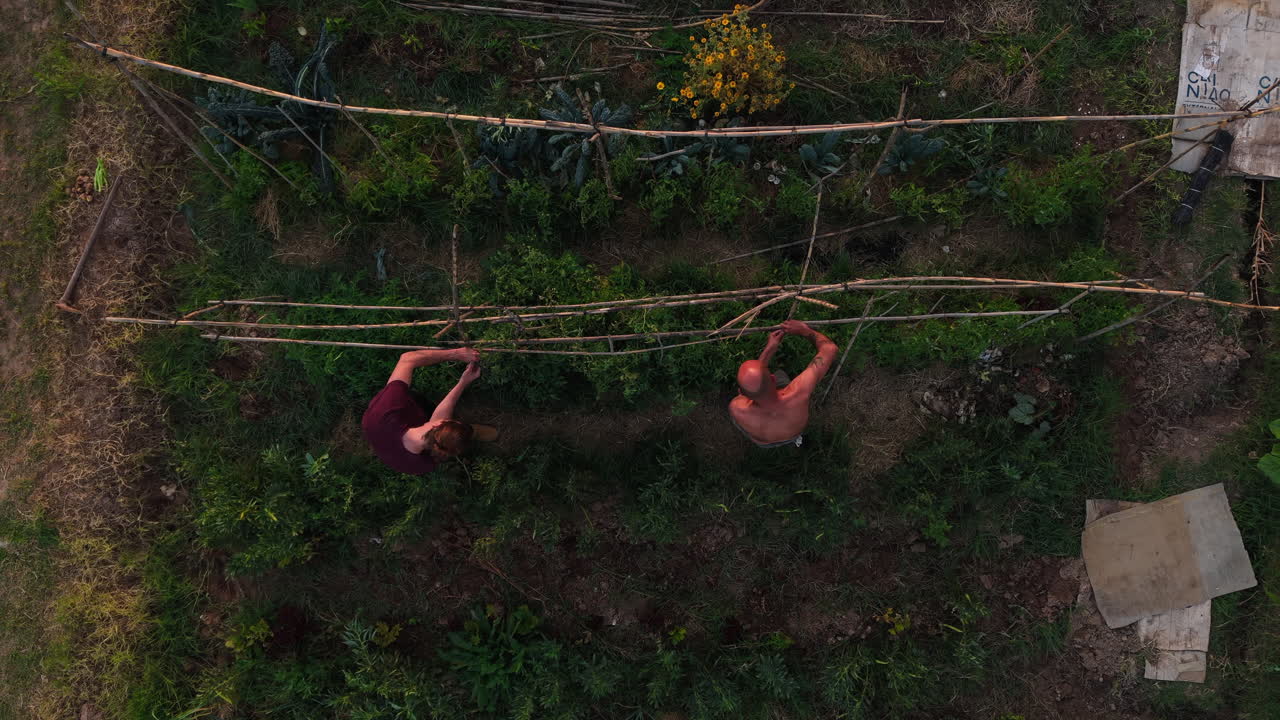 Aerial View of Two People Working in a Garden with Bamboo Trellis