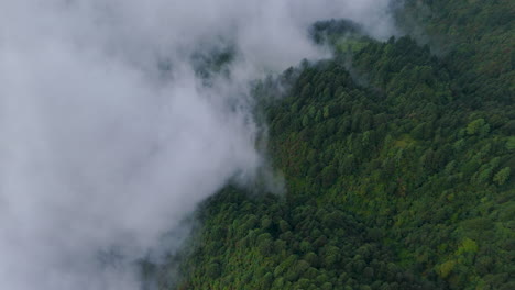 drone shot of clouds hovering above lush green pine tree forests in the hills of dolakha sailung, nepal picturesque scene white clouds enter dense and nearby villages, showing beauty of eco-tourism