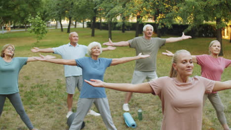 elderly people exercising outdoors with female coach