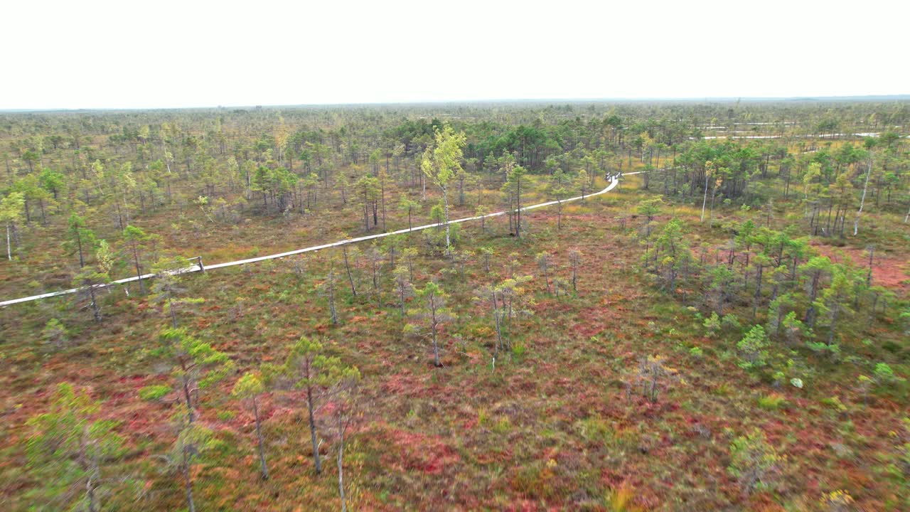 Aerial view of Kemeri swamp showcasing Latvia's natural beauty