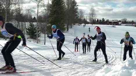 cross country skier at a turn during vasaloppet 100 year celebration race 2022, wide
