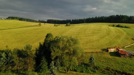 Aerial-drone-flight-over-village-rooftops-and-a-freshly-mowed-meadow-with-trees-close-to-a-forest