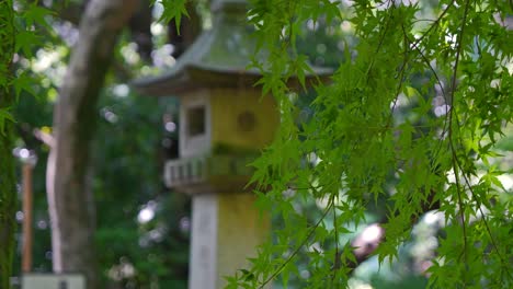 Japanese-stone-pillar-behind-maple-leafs-blowing-in-wind