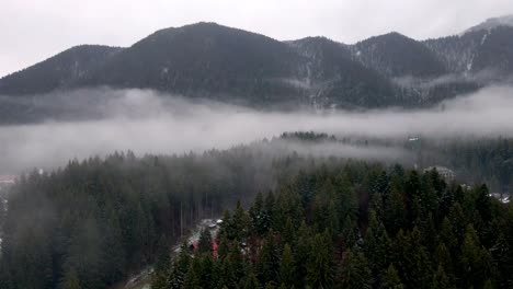Pine-Tree-Forest-Shrouded-By-Fog-And-Clouds-In-The-Mountain-In-Poiana-Brasov,-Romania