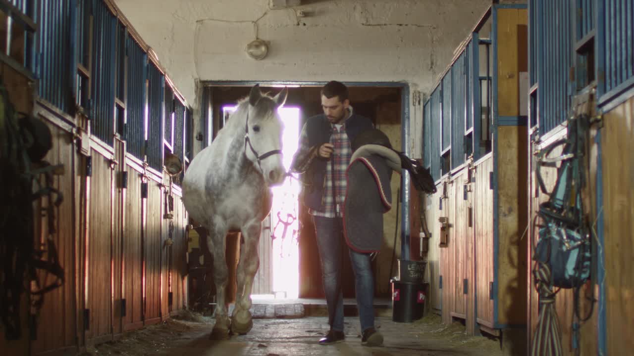 el hombre está caminando un caballo blanco en el establo mientras sostiene una silla de montar.
