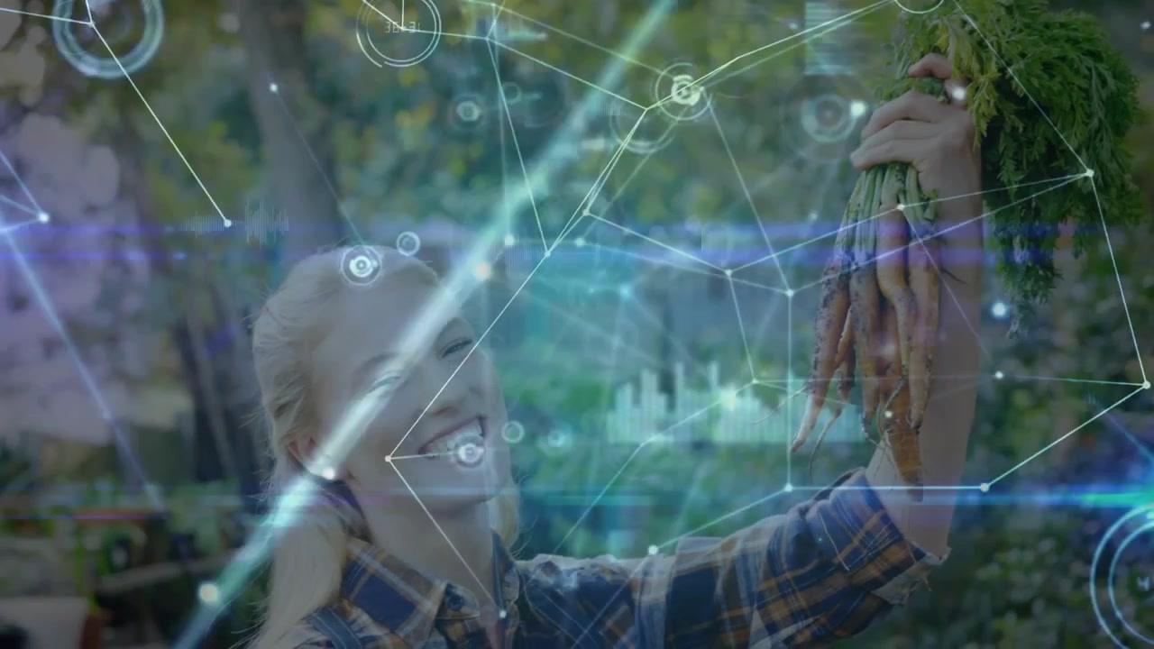 Giardiniera che raccoglie carote e ispeziona il raccolto mentre i nodi dati agritech mostrano i dati delle radici