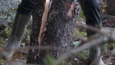 man swings axe and splits log in slow motion