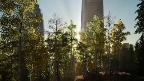 skyscrapes-and-the-forest-park-at-sunrise