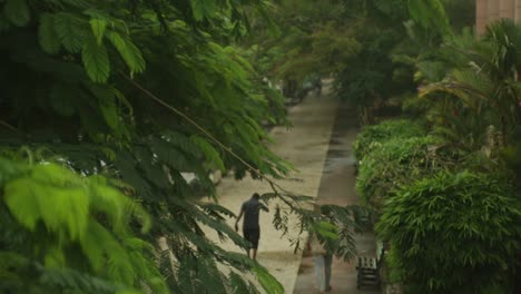 pathway, morning walk on footpath,walking,asian people