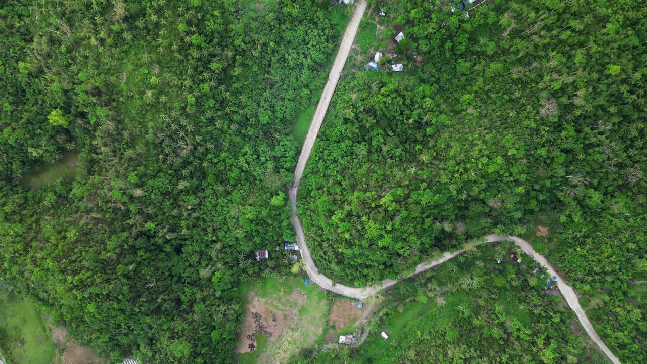 Scenic Bird’s Eye Aerial View of Winding Road amid Lush, Tropical Rainorest in Virac, Catanduanes, Philippines