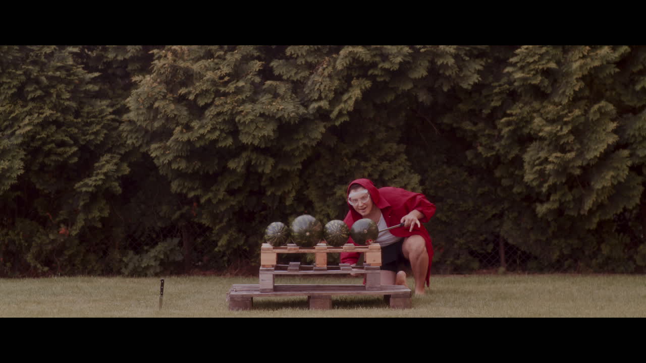 Person cutting watermelons in a garden