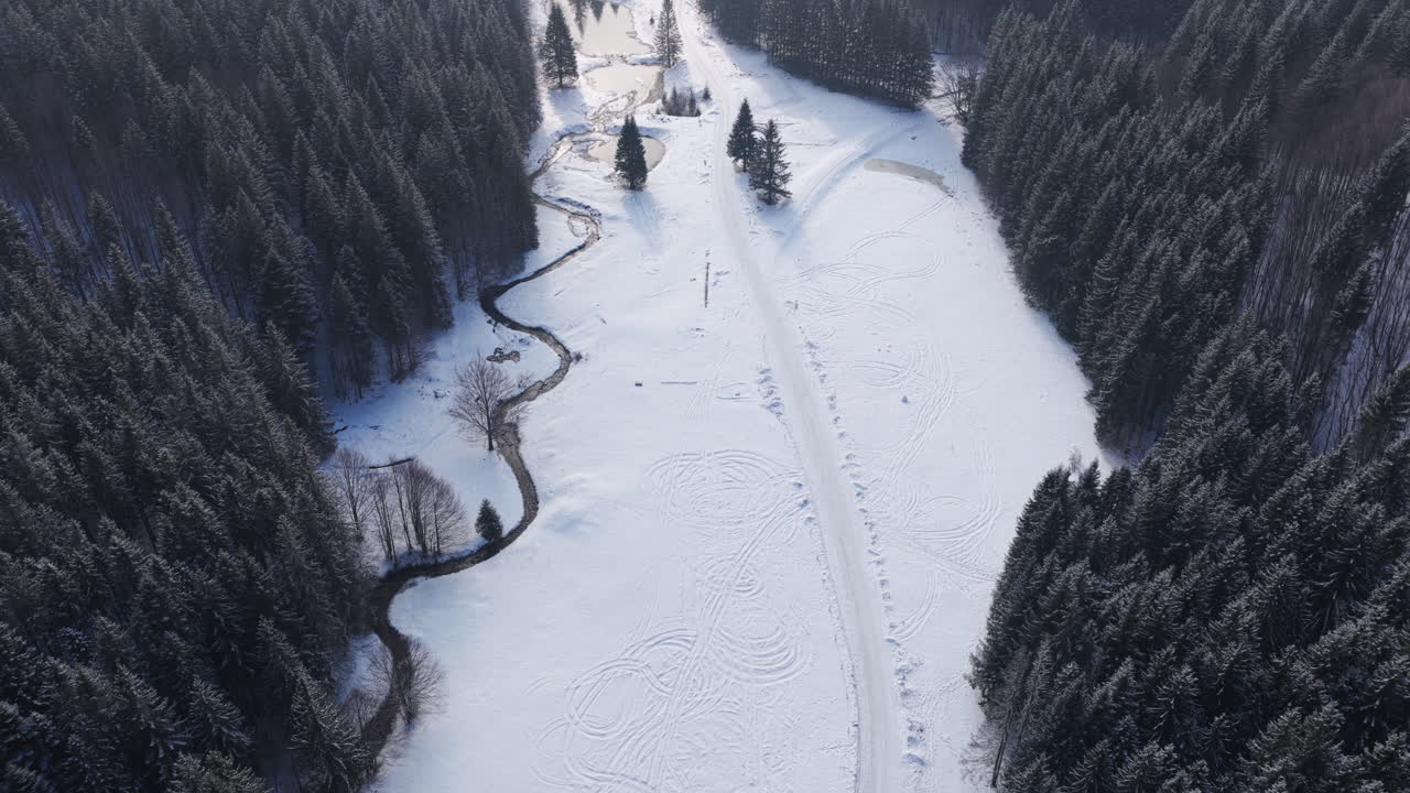 Panoramiczny widok z drona na zimę z jodłami pokrytymi śniegiem. Transylwania, góra Ciucaș w Rumunii, Karpaty