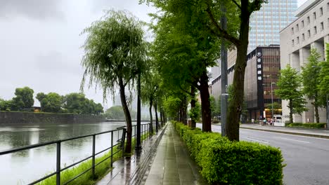 東京最美麗的景色