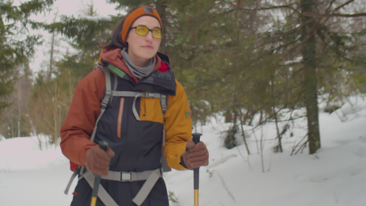 Donna che Fa Escursionismo nel Bosco in una Giornata Invernale