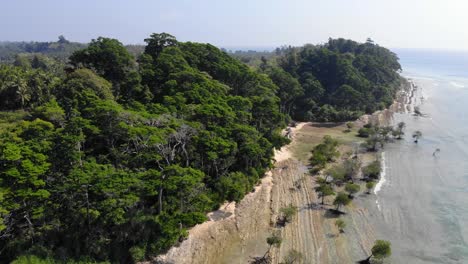 Von-Links-Nach-Rechts-Drohne-Eines-Alten-Waldes-Auf-Einer-Andamaneninsel-Und-Die-Mangrovenbäume,-Die-In-Den-Riffen-Und-Felsigen-Vulkanischen-Strandformationen-Wachsen