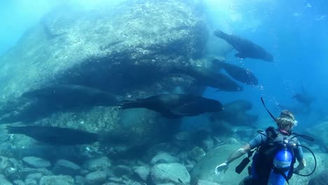 mexico buceo 0 07