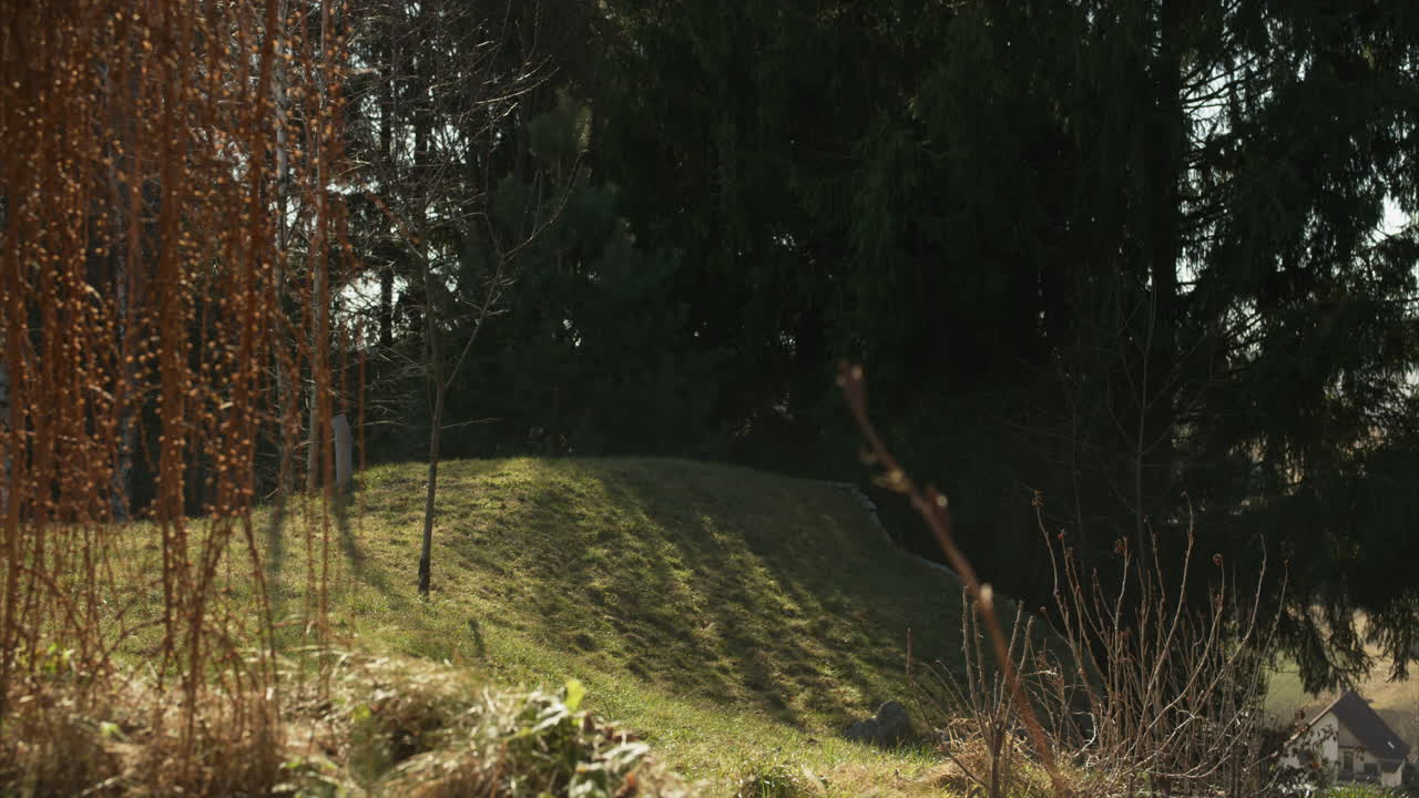 Beautiful garden in spring with ornamental grasses and garden cellar