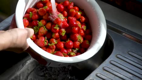 rinsing a colander of strawberries under running water in a home kitchen with natural window light