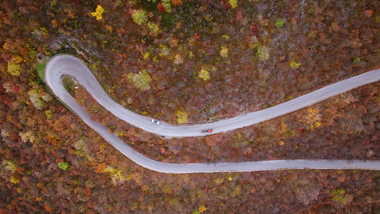 Aerial View of a Winding Mountain Road Through Autumn Forest