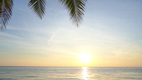 Palmwedel-Tropfen-In-Den-Oberen-Teil-Des-Rahmens-Eines-Tropischen-Ozeansonnenuntergangs