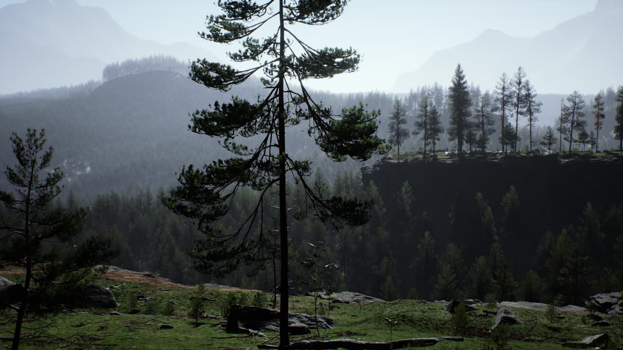 paisaje montañoso brumoso con bosque de abeto