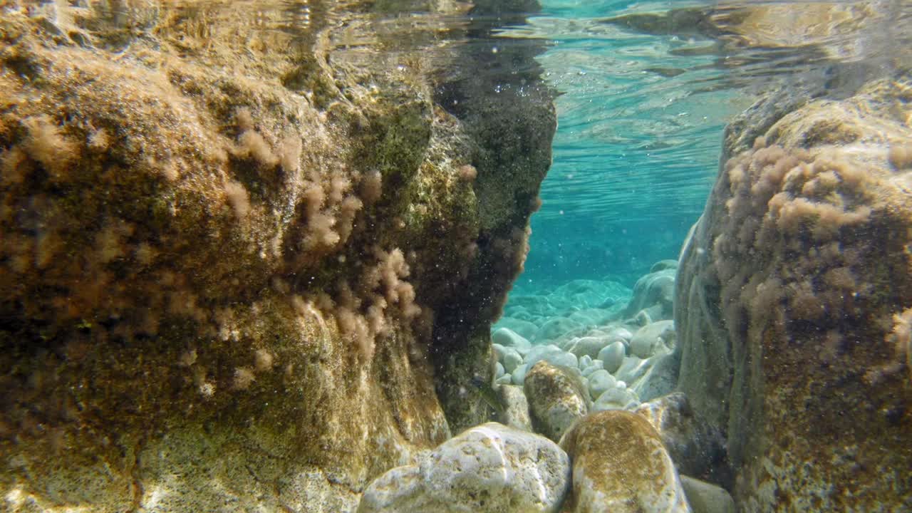 arrecifes de coral en aguas prístinas de la playa de emplisi, cefalonia, grecia