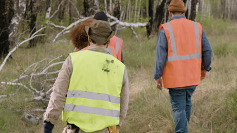 Vista-Trasera-De-Un-Grupo-De-Activistas-Ecologistas-Multiétnicos-Caminando-En-El-Bosque