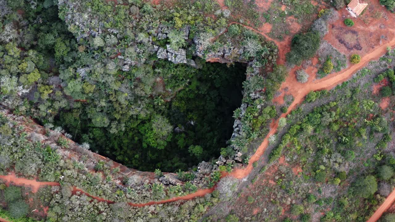 toma aérea de drones de arriba hacia abajo de la entrada de la cueva lapa doce de rocas coloridas con una selva tropical autónoma debajo en el parque nacional chapada diamantina en bahia, noreste de brasil