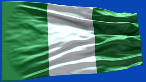 4k bandera muy detallada de nigeria - bandera de nigeria alto detalle - bandera nacional de nigeria patrón de ondas elementos en bucle