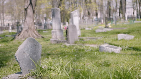 Graveyard-With-Tombstones-In-An-Urban-Area-On-A-Sunny-Day-7