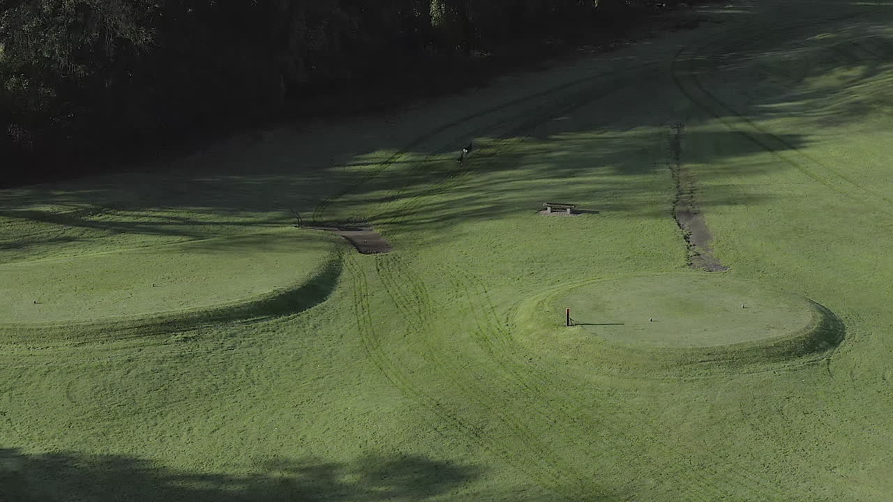 두 마리의 붉은 사슴은 잘 손질된 녹색 골프 코스에서 아침 고독을 즐깁니다.
