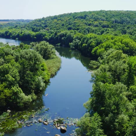 río que fluye en el bosque