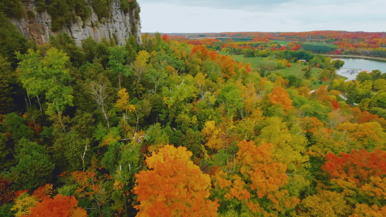 Rotating aerial view of an autumn forest with vivid, colorful foliage ...