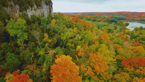 Drehende-Luftaufnahme-Eines-Herbstwaldes-Mit-Lebendigem,-Buntem-Laub