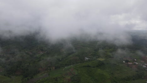 A-high-angle,-aerial-view-over-tea-plantation