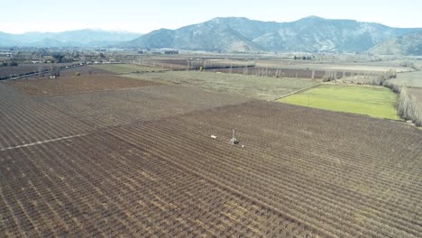 Imágenes-De-Drones-En-4k,-60-Fps-Filmadas-En-Chile,-Imágenes-De-70-M-De-Altura-Desde-Los-Cerezos