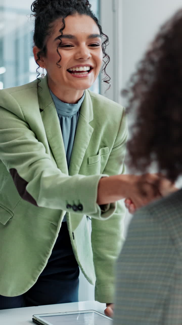 Successful Businesswomen Handshake Agreement