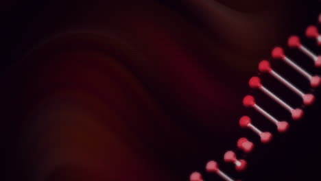 animation of dna strand on red and black background