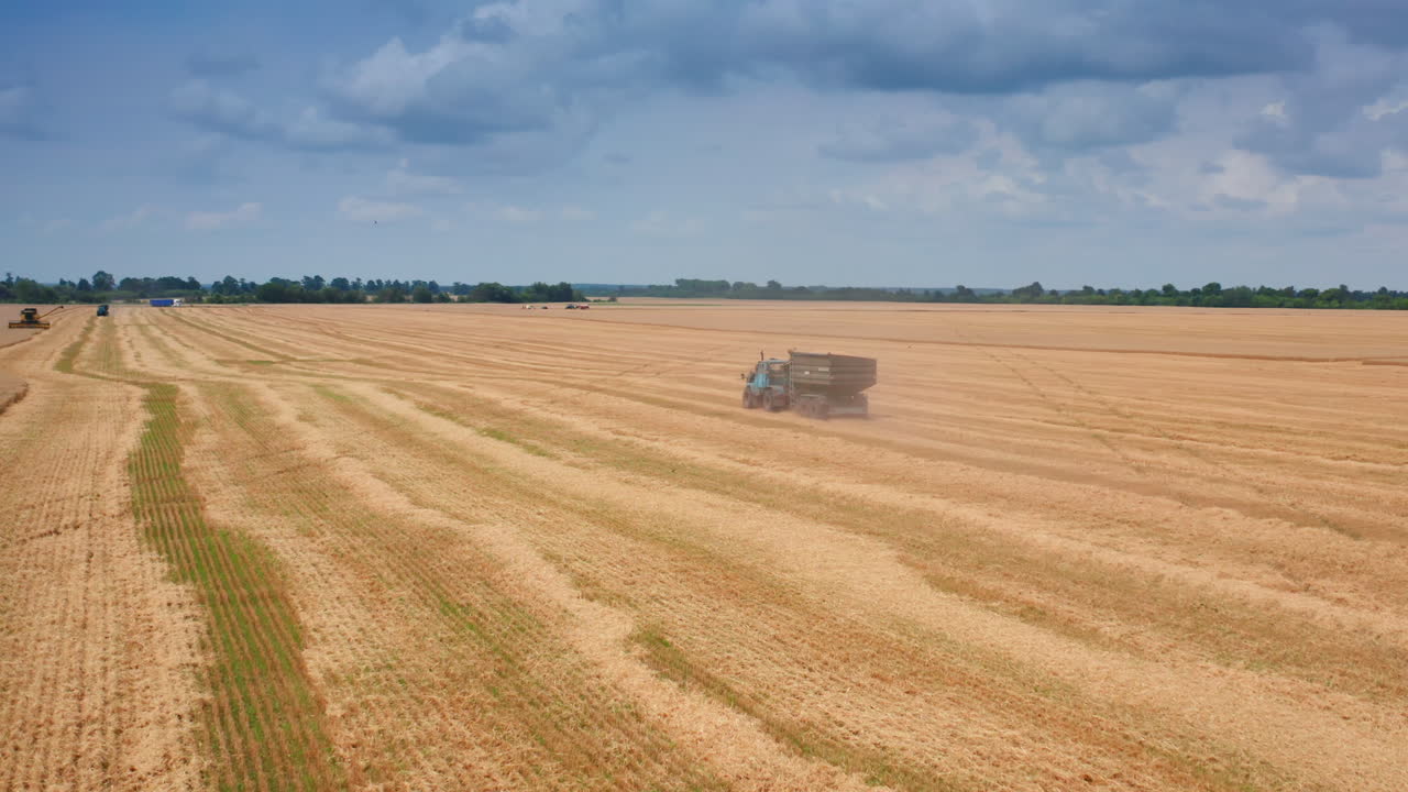 Wheat Harvest in Progress