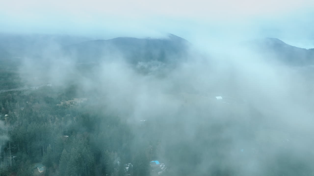 Drone flying through the thick fog above the natural landscape. Valley with pine tree woods opening to the view in Mount Rainer national Park, Washington State, the USA.