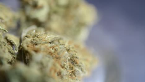 close up macro rotating right shot of ready to smoke marjuana weed bud that were grown organically