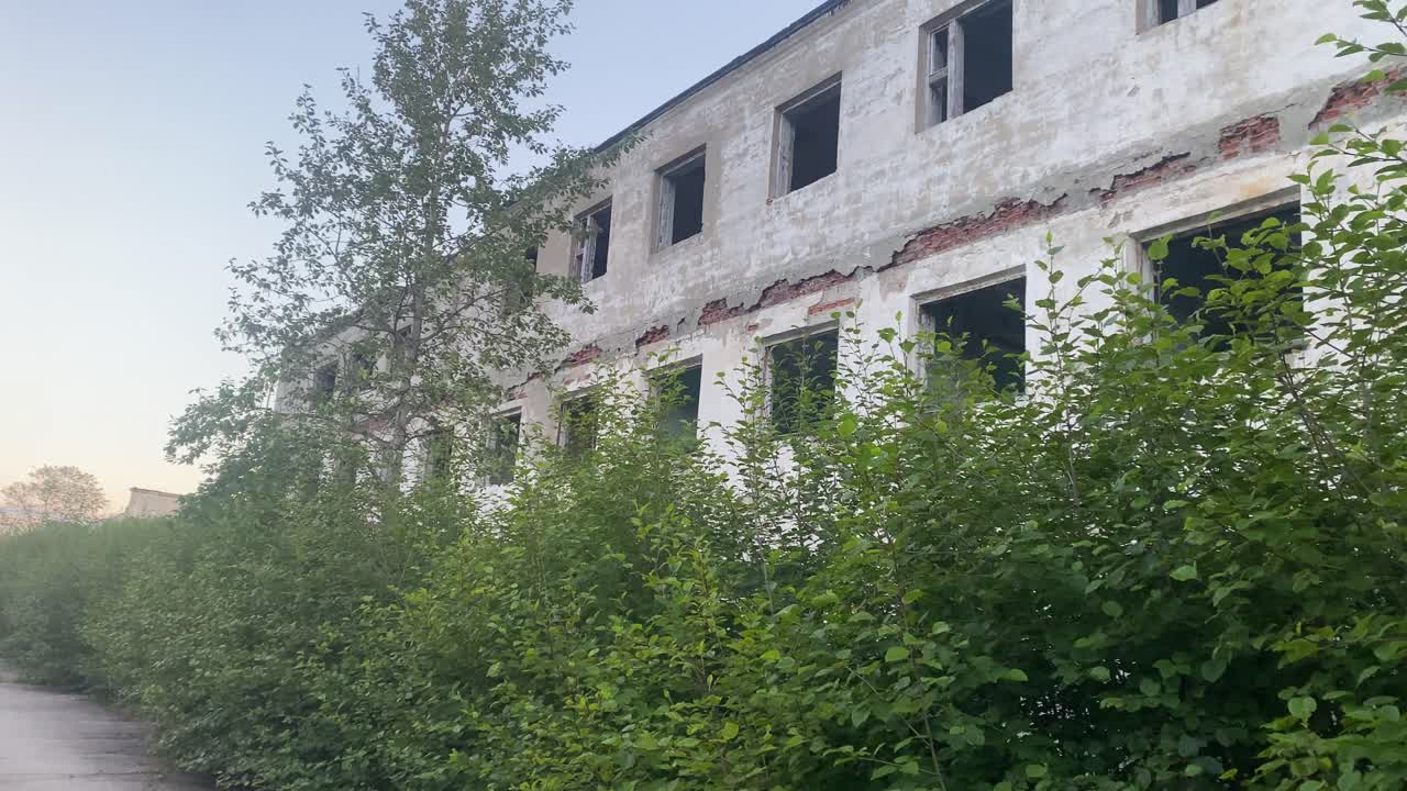 Forgotten building decays amidst overgrowth under a clear sky