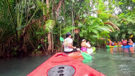 los kayakistas navegan por un canal de aguas cristalinas y exuberantes en krabi